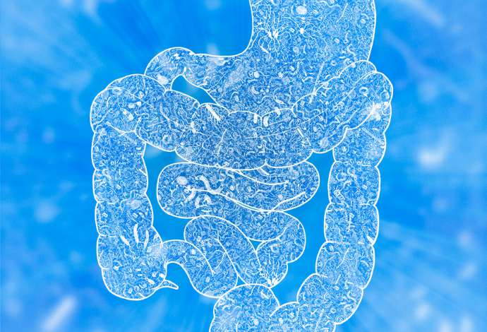 microbiota e intestino
